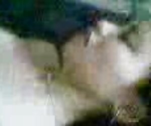 değişim öğrencisi, azeri porno indir mp4