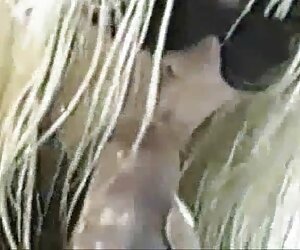 ezilmiş tavuk azeri porno indir 3gp