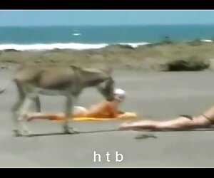 Kızıl azeri şikiş saçlı hardcore babe, sarışın