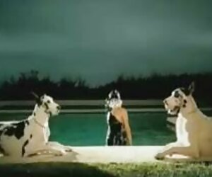 Büyük Asya azeri lezbiyen porno genç sikikleri pov